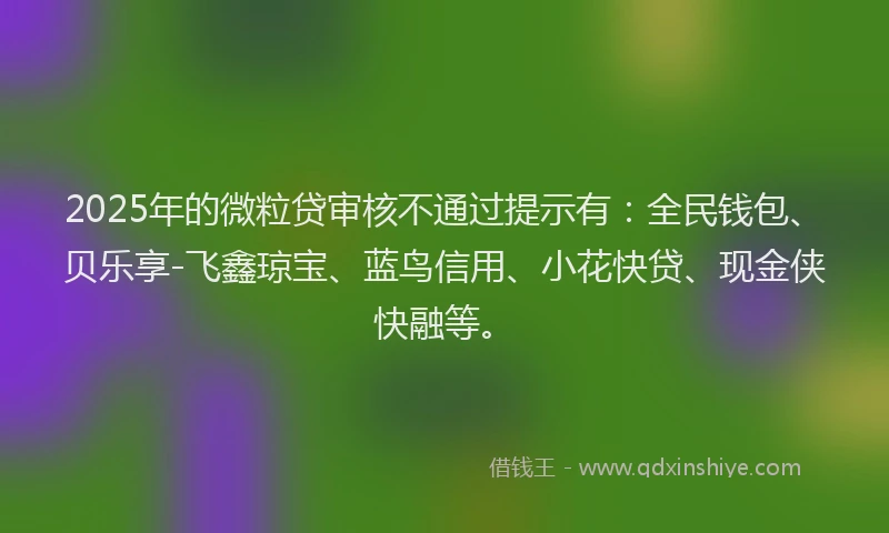 2025年的微粒贷审核不通过提示有：全民钱包、贝乐享-飞鑫琼宝、蓝鸟信用、小花快贷、现金侠快融等。