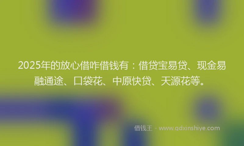2025年的放心借咋借钱有：借贷宝易贷、现金易融通途、口袋花、中原快贷、天源花等。