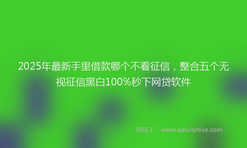 2025年最新手里借款哪个不看征信，整合五个无视征信黑白100%秒下网贷软件