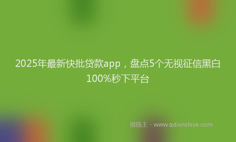 2025年最新快批贷款app，盘点5个无视征信黑白100%秒下平台