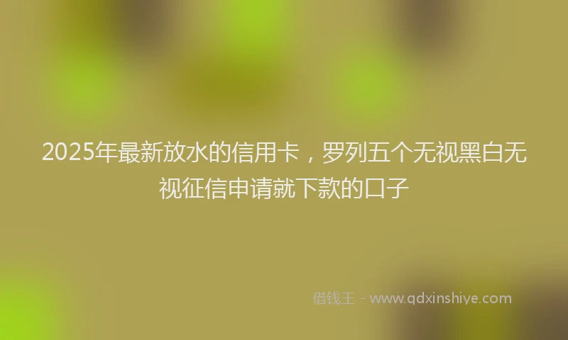 2025年最新放水的信用卡，罗列五个无视黑白无视征信申请就下款的口子