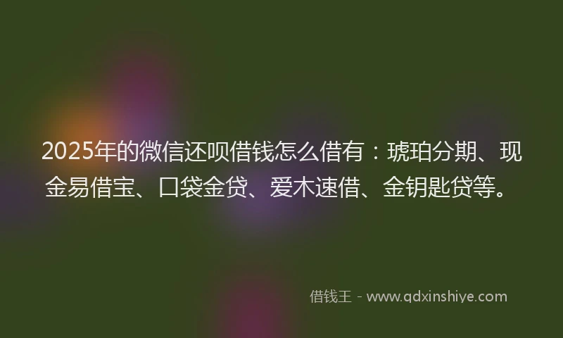 2025年的微信还呗借钱怎么借有：琥珀分期、现金易借宝、口袋金贷、爱木速借、金钥匙贷等。