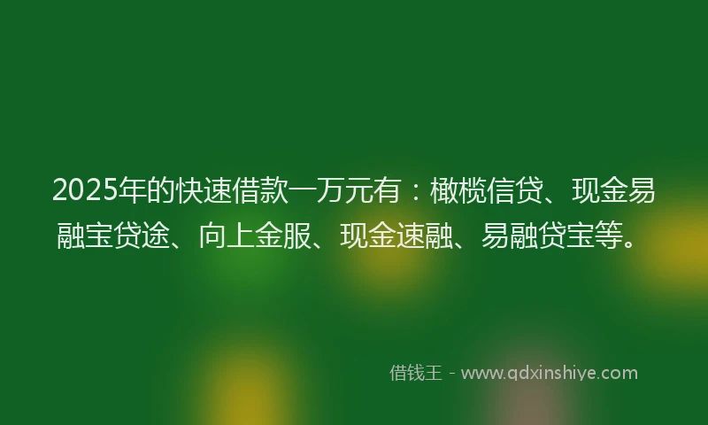 2025年的快速借款一万元有：橄榄信贷、现金易融宝贷途、向上金服、现金速融、易融贷宝等。