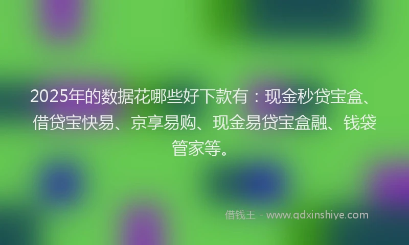 2025年的数据花哪些好下款有：现金秒贷宝盒、借贷宝快易、京享易购、现金易贷宝盒融、钱袋管家等。