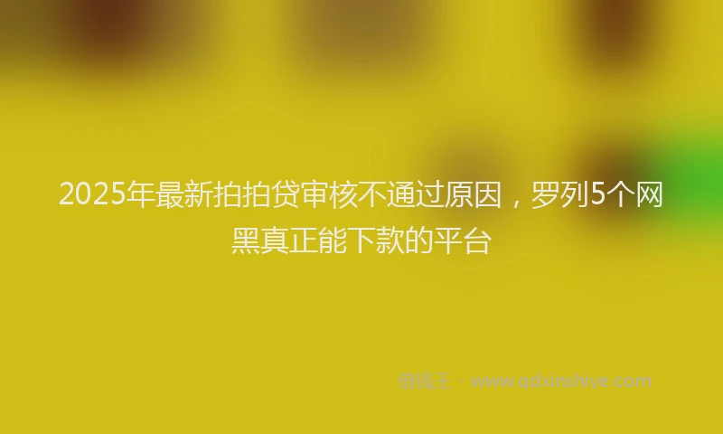 2025年最新拍拍贷审核不通过原因，罗列5个网黑真正能下款的平台