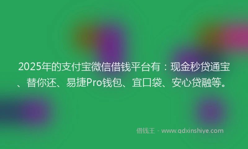 2025年的支付宝微信借钱平台有：现金秒贷通宝、替你还、易捷Pro钱包、宜口袋、安心贷融等。