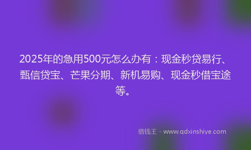 2025年的急用500元怎么办有：现金秒贷易行、甄信贷宝、芒果分期、新机易购、现金秒借宝途等。