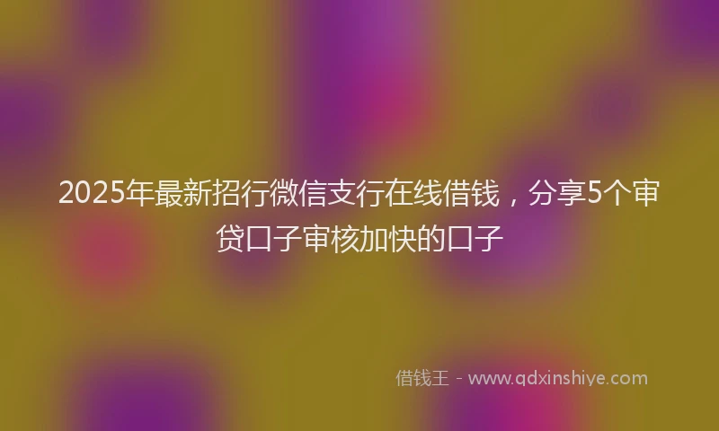 2025年最新招行微信支行在线借钱，分享5个审贷口子审核加快的口子