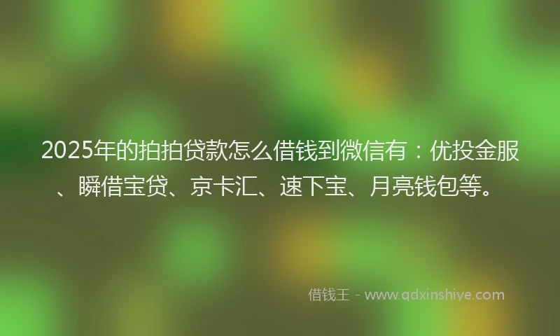 2025年的拍拍贷款怎么借钱到微信有：优投金服、瞬借宝贷、京卡汇、速下宝、月亮钱包等。