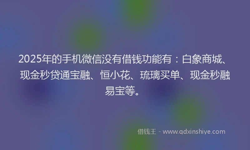 2025年的手机微信没有借钱功能有：白象商城、现金秒贷通宝融、恒小花、琉璃买单、现金秒融易宝等。