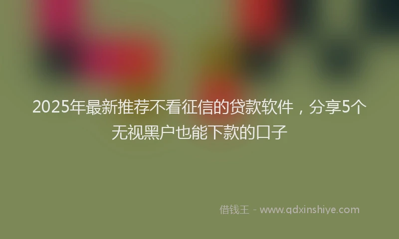 2025年最新推荐不看征信的贷款软件，分享5个无视黑户也能下款的口子