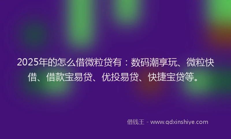 2025年的怎么借微粒贷有：数码潮享玩、微粒快借、借款宝易贷、优投易贷、快捷宝贷等。
