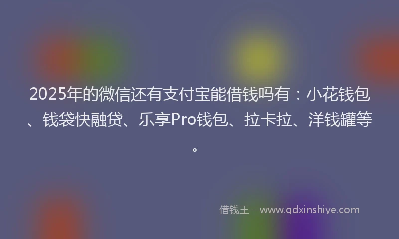 2025年的微信还有支付宝能借钱吗有：小花钱包、钱袋快融贷、乐享Pro钱包、拉卡拉、洋钱罐等。