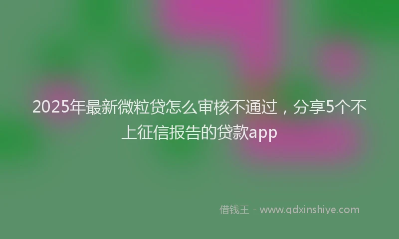 2025年最新微粒贷怎么审核不通过，分享5个不上征信报告的贷款app