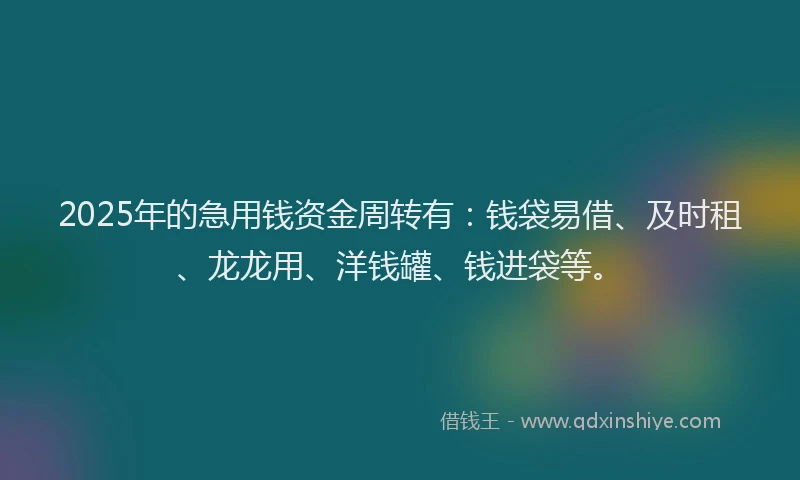 2025年的急用钱资金周转有：钱袋易借、及时租、龙龙用、洋钱罐、钱进袋等。