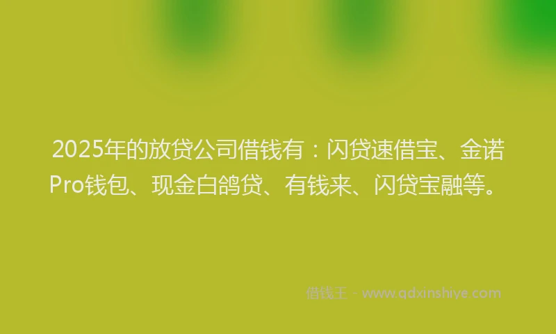 2025年的放贷公司借钱有：闪贷速借宝、金诺Pro钱包、现金白鸽贷、有钱来、闪贷宝融等。