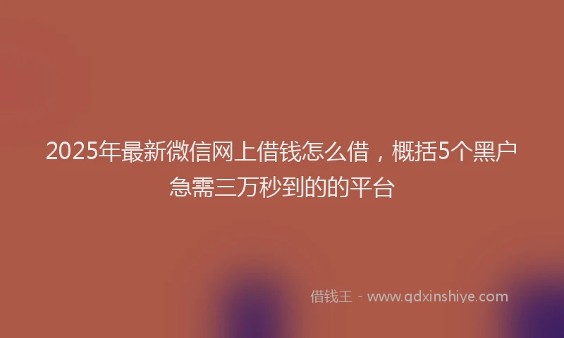 2025年最新微信网上借钱怎么借，概括5个黑户急需三万秒到的的平台