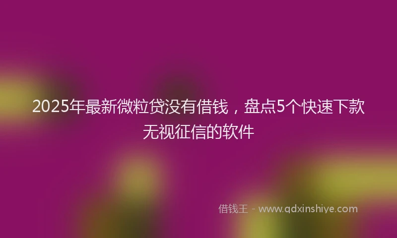 2025年最新微粒贷没有借钱，盘点5个快速下款无视征信的软件