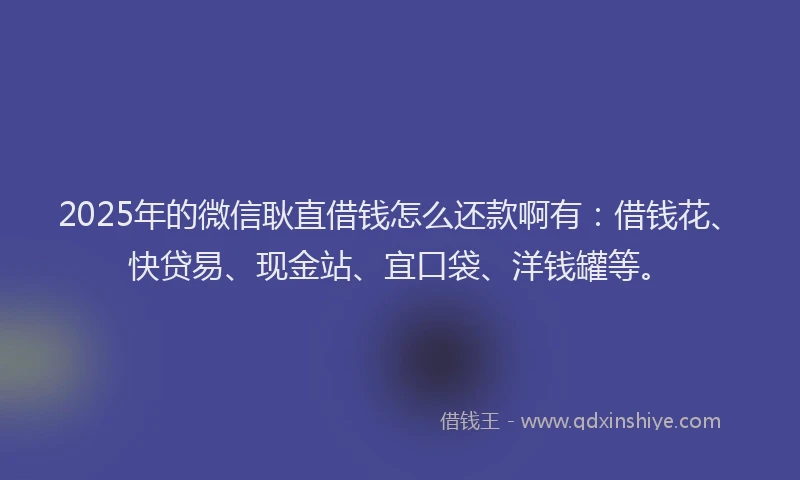 2025年的微信耿直借钱怎么还款啊有：借钱花、快贷易、现金站、宜口袋、洋钱罐等。
