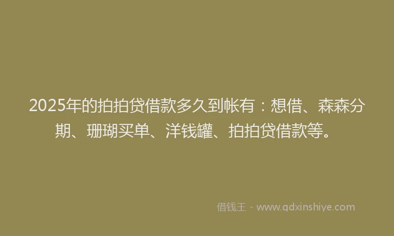 2025年的拍拍贷借款多久到帐有：想借、森森分期、珊瑚买单、洋钱罐、拍拍贷借款等。