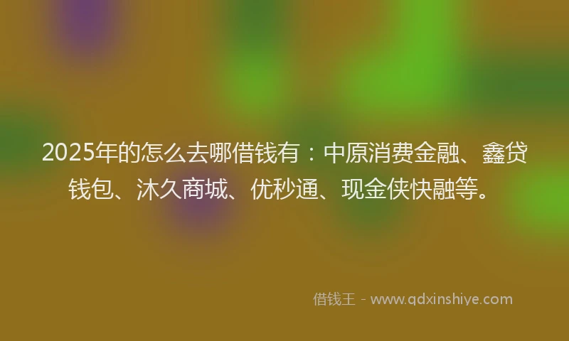 2025年的怎么去哪借钱有：中原消费金融、鑫贷钱包、沐久商城、优秒通、现金侠快融等。