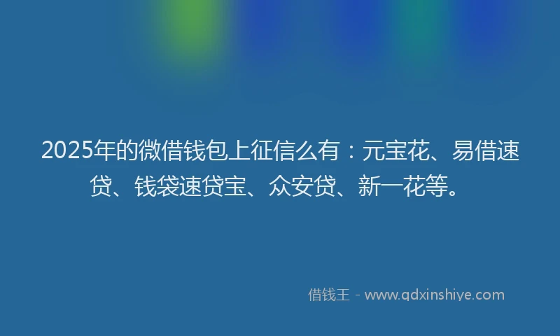2025年的微借钱包上征信么有：元宝花、易借速贷、钱袋速贷宝、众安贷、新一花等。