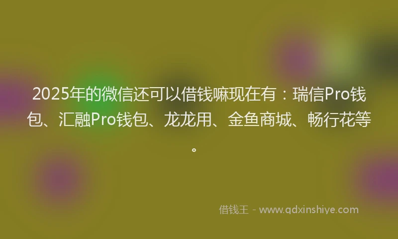2025年的微信还可以借钱嘛现在有：瑞信Pro钱包、汇融Pro钱包、龙龙用、金鱼商城、畅行花等。