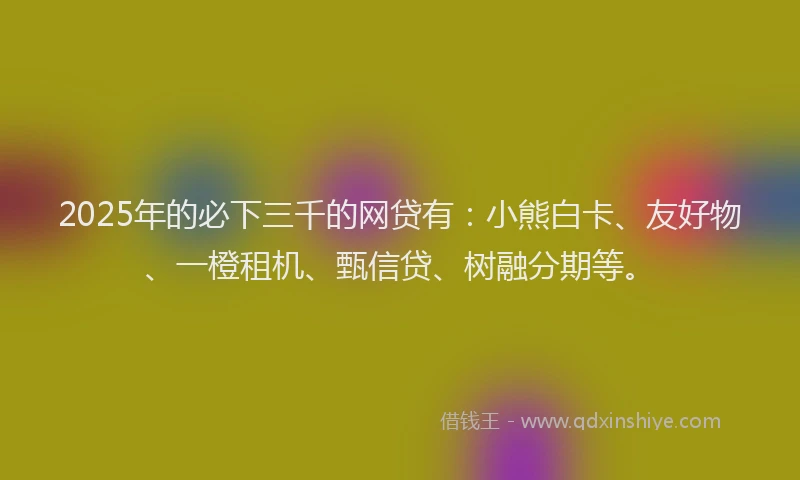 2025年的必下三千的网贷有：小熊白卡、友好物、一橙租机、甄信贷、树融分期等。