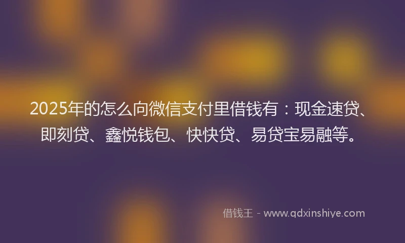 2025年的怎么向微信支付里借钱有：现金速贷、即刻贷、鑫悦钱包、快快贷、易贷宝易融等。