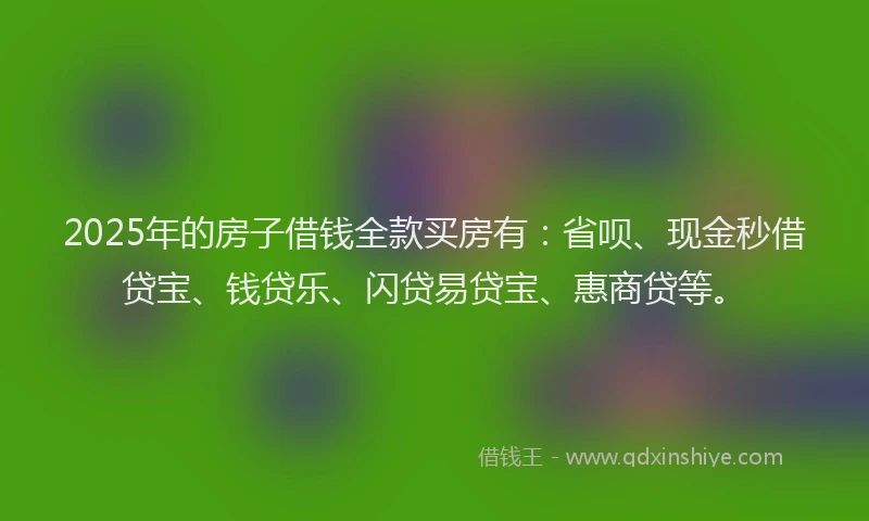 2025年的房子借钱全款买房有：省呗、现金秒借贷宝、钱贷乐、闪贷易贷宝、惠商贷等。
