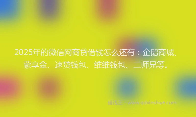 2025年的微信网商贷借钱怎么还有：企鹅商城、蒙享金、速贷钱包、维维钱包、二师兄等。