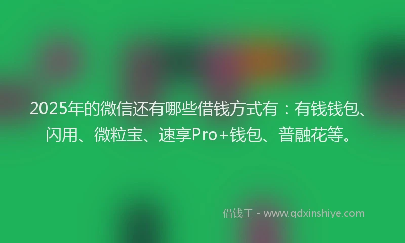 2025年的微信还有哪些借钱方式有：有钱钱包、闪用、微粒宝、速享Pro+钱包、普融花等。