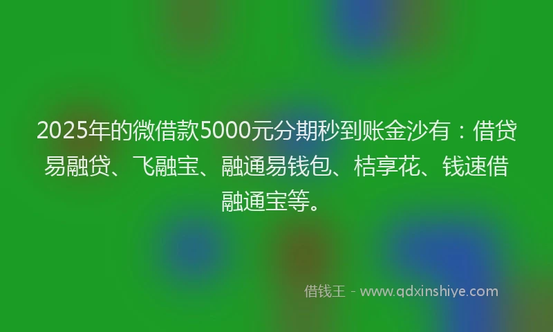 2025年的微借款5000元分期秒到账金沙有：借贷易融贷、飞融宝、融通易钱包、桔享花、钱速借融通宝等。