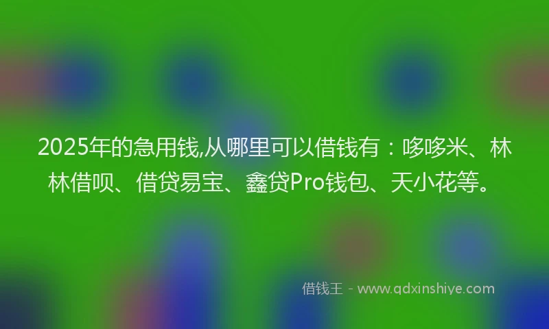 2025年的急用钱,从哪里可以借钱有：哆哆米、林林借呗、借贷易宝、鑫贷Pro钱包、天小花等。