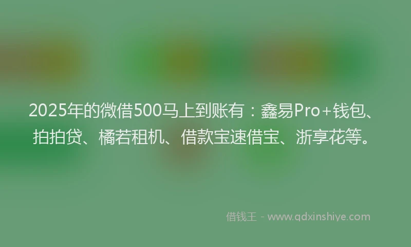 2025年的微借500马上到账有：鑫易Pro+钱包、拍拍贷、橘若租机、借款宝速借宝、浙享花等。