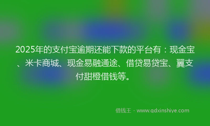 2025年的支付宝逾期还能下款的平台有：现金宝、米卡商城、现金易融通途、借贷易贷宝、翼支付甜橙借钱等。