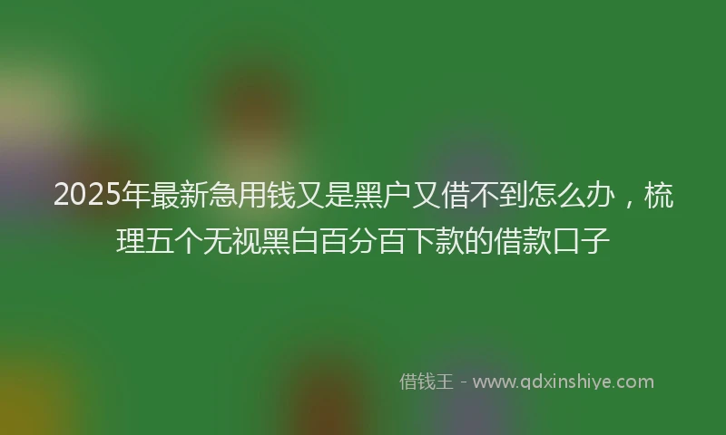 2025年最新急用钱又是黑户又借不到怎么办，梳理五个无视黑白百分百下款的借款口子
