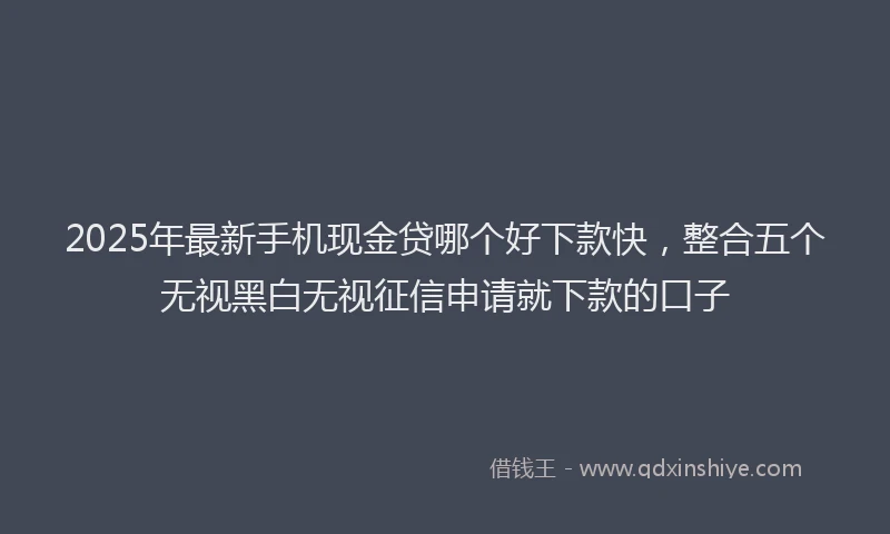 2025年最新手机现金贷哪个好下款快，整合五个无视黑白无视征信申请就下款的口子