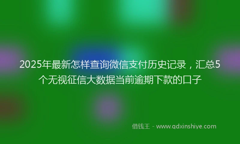 2025年最新怎样查询微信支付历史记录，汇总5个无视征信大数据当前逾期下款的口子