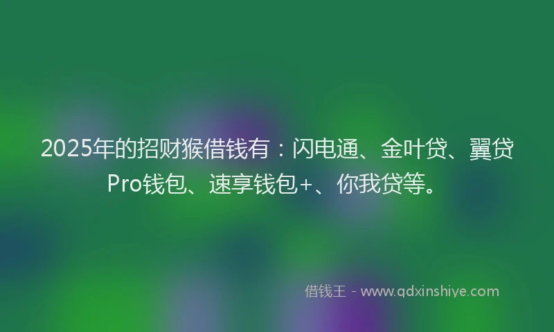 2025年的招财猴借钱有：闪电通、金叶贷、翼贷Pro钱包、速享钱包+、你我贷等。