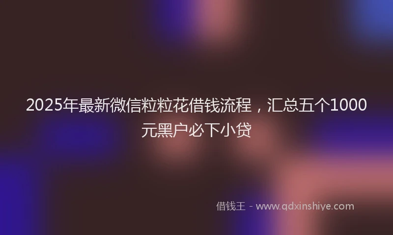 2025年最新微信粒粒花借钱流程，汇总五个1000元黑户必下小贷