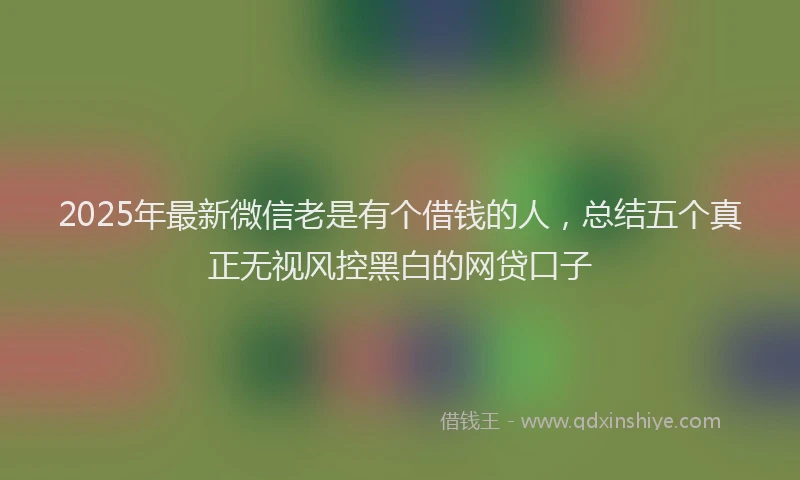 2025年最新微信老是有个借钱的人，总结五个真正无视风控黑白的网贷口子