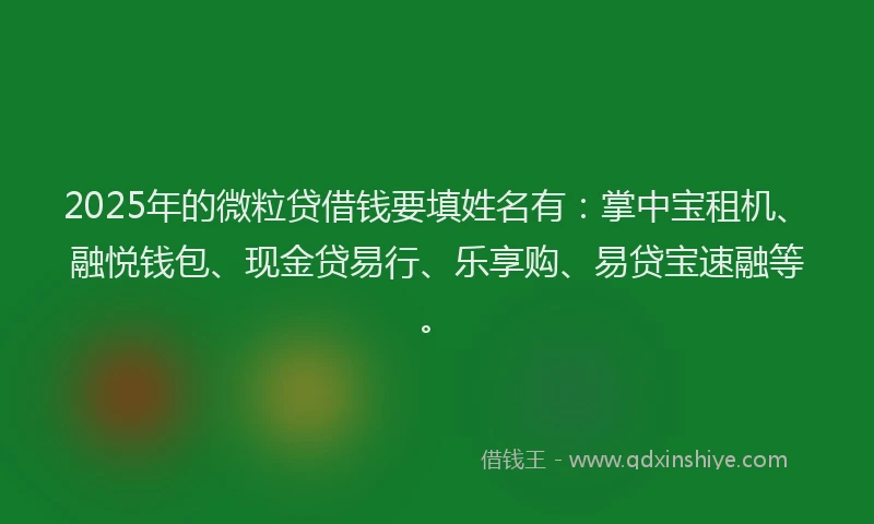 2025年的微粒贷借钱要填姓名有：掌中宝租机、融悦钱包、现金贷易行、乐享购、易贷宝速融等。