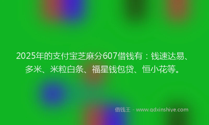 2025年的支付宝芝麻分607借钱有：钱速达易、多米、米粒白条、福星钱包贷、恒小花等。