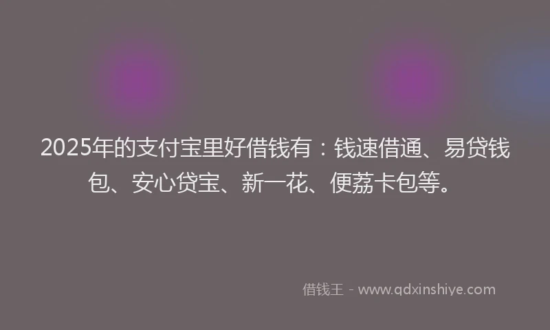 2025年的支付宝里好借钱有：钱速借通、易贷钱包、安心贷宝、新一花、便荔卡包等。