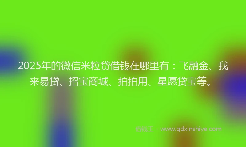 2025年的微信米粒贷借钱在哪里有：飞融金、我来易贷、招宝商城、拍拍用、星愿贷宝等。
