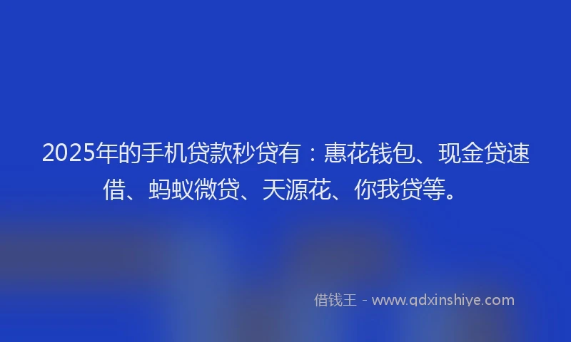 2025年的手机贷款秒贷有：惠花钱包、现金贷速借、蚂蚁微贷、天源花、你我贷等。
