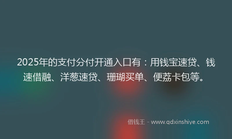 2025年的支付分付开通入口有：用钱宝速贷、钱速借融、洋葱速贷、珊瑚买单、便荔卡包等。