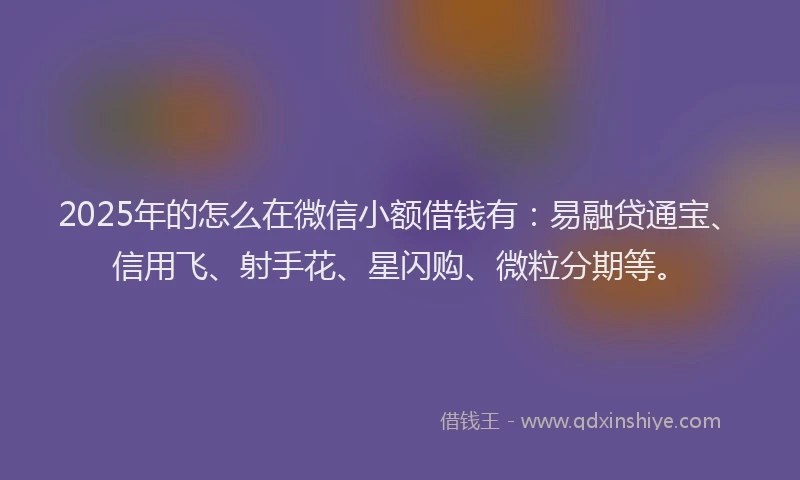 2025年的怎么在微信小额借钱有：易融贷通宝、信用飞、射手花、星闪购、微粒分期等。
