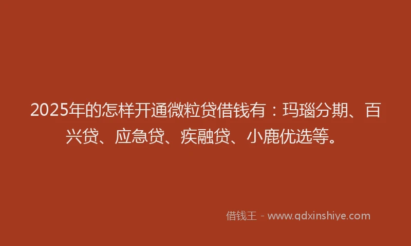 2025年的怎样开通微粒贷借钱有：玛瑙分期、百兴贷、应急贷、疾融贷、小鹿优选等。